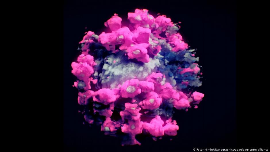 Prima fotografie 3D a coronavirusului